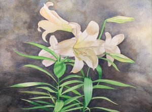 Easter Lily, watercolor