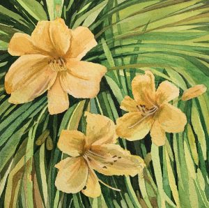 Golden Daylilies, watercolor