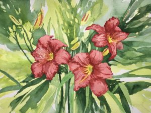 Red Daylilies, watercolor
