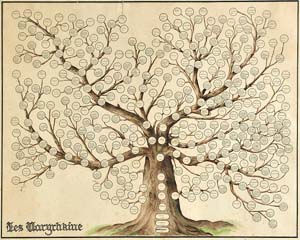 Genealogy illustration