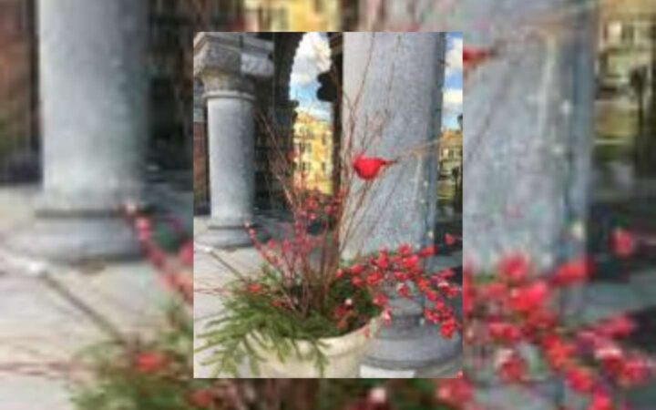 Cardinal & greens decoration on library's porch