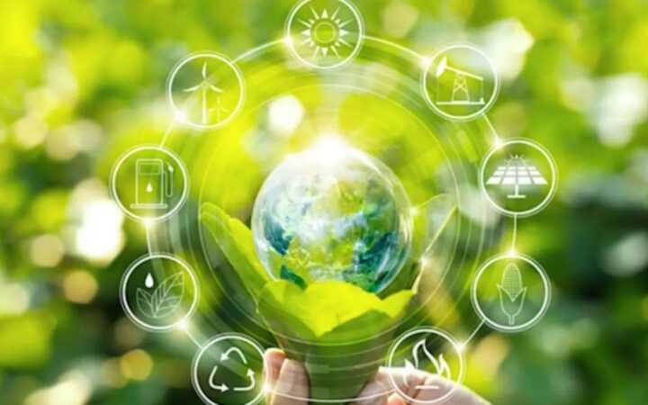 Circle graphic on green plant background