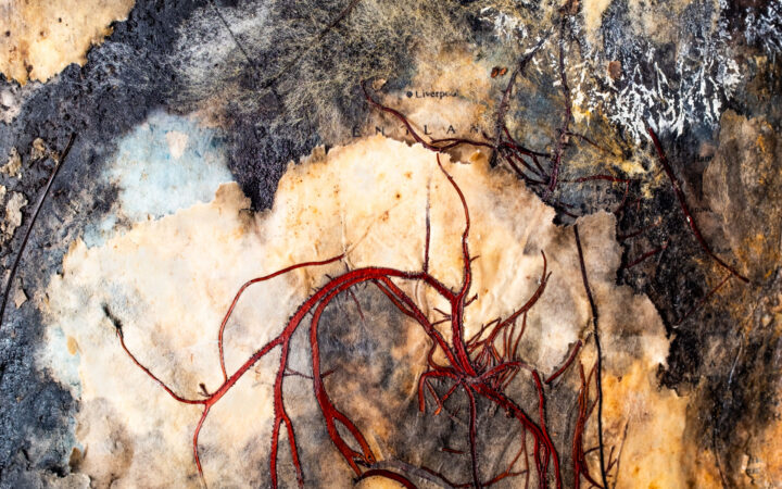 detail of photograph by Lyn Swett Miller