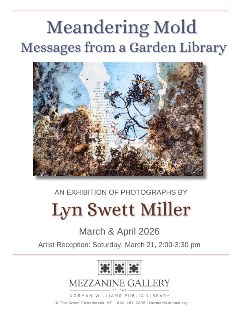 Lyn Swett Miller poster