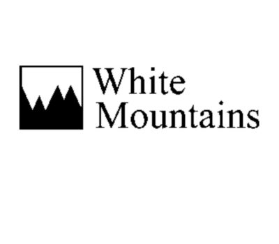 White Mountains logo