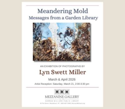 Lyn S Miller - Meandering Mold poster