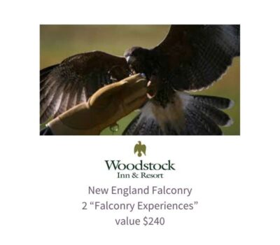 Falcon & Woodstock Inn