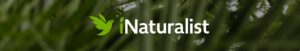 iNaturalist logo