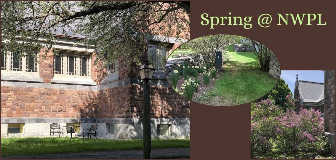 photos of library in spring