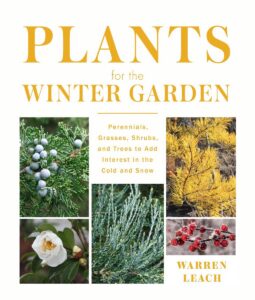 Plants for the Winter Garden book cover