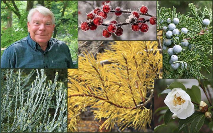 Warren Leach with photos of plants from the cover of his book