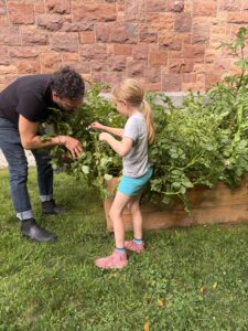 Adrian & child tending the potato plants