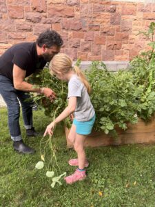 Adrian & child tending the potato plot