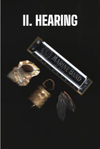 photo of harmonica, bell and shell