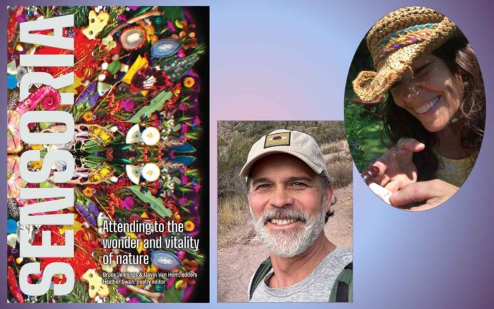 Gavin Van Horn, Heather Swan and Sensoria book cover