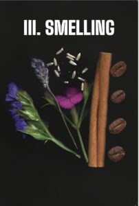 photo of cinnamon stick, coffee beans, flowers