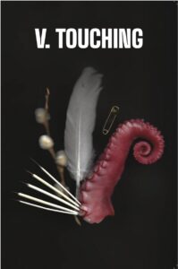 photo of feather, quill, pussy willow & octopus arm