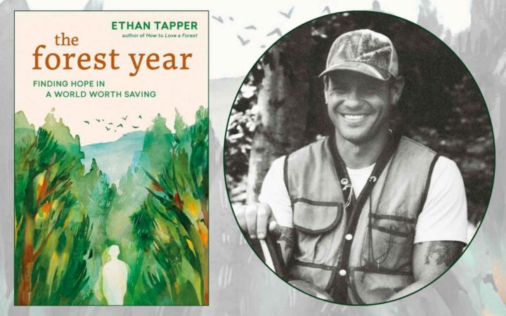 Ethan Tapper & cover of The Forest Year